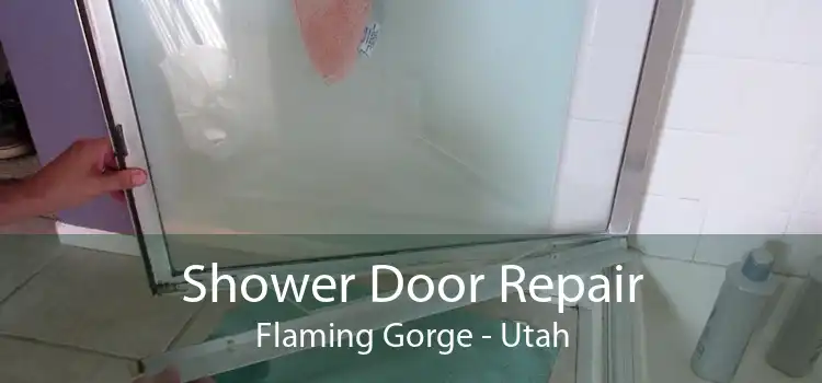 Shower Door Repair Flaming Gorge - Utah