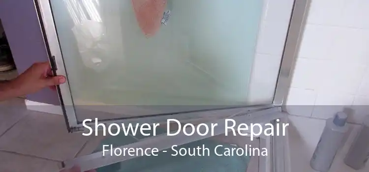 Shower Door Repair Florence - South Carolina