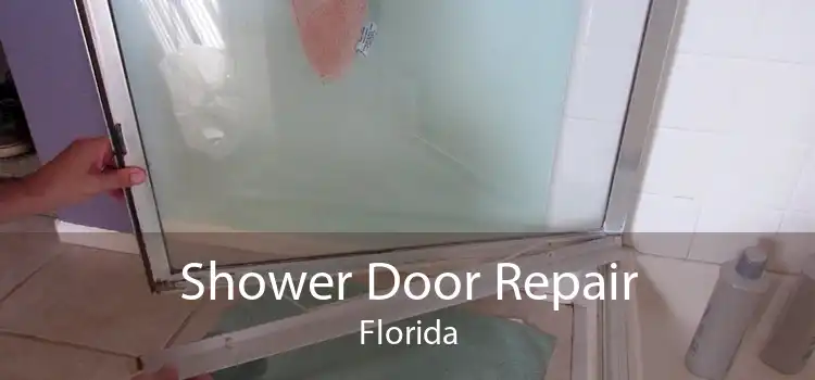 Shower Door Repair Florida