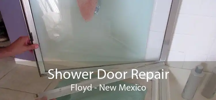 Shower Door Repair Floyd - New Mexico