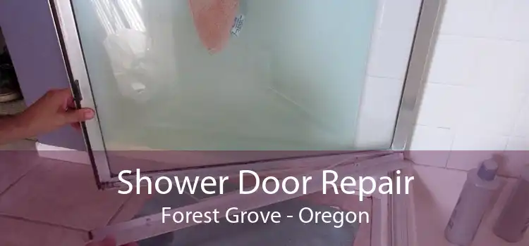 Shower Door Repair Forest Grove - Oregon