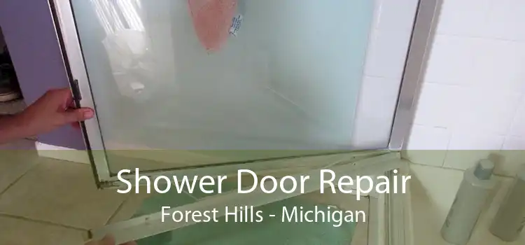 Shower Door Repair Forest Hills - Michigan