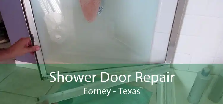 Shower Door Repair Forney - Texas