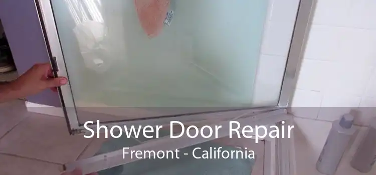 Shower Door Repair Fremont - California