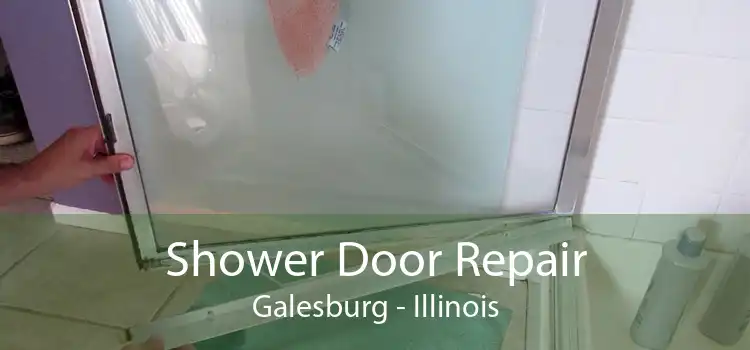 Shower Door Repair Galesburg - Illinois