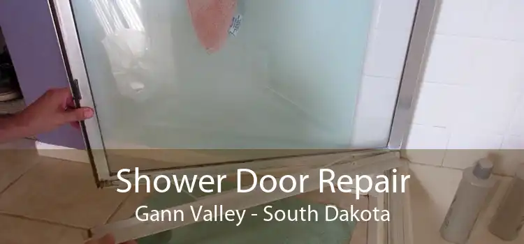 Shower Door Repair Gann Valley - South Dakota