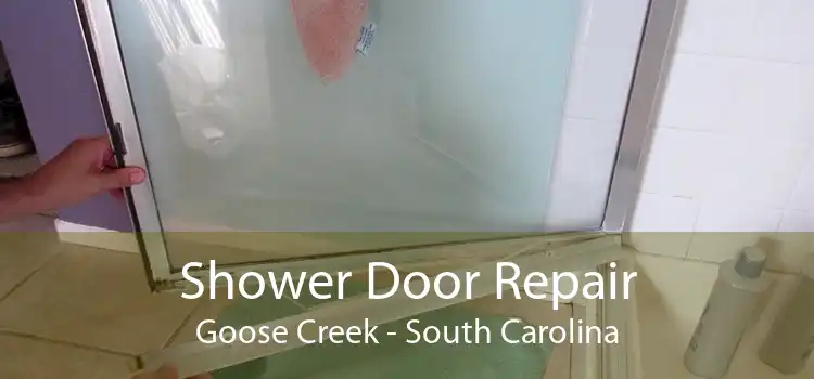 Shower Door Repair Goose Creek - South Carolina