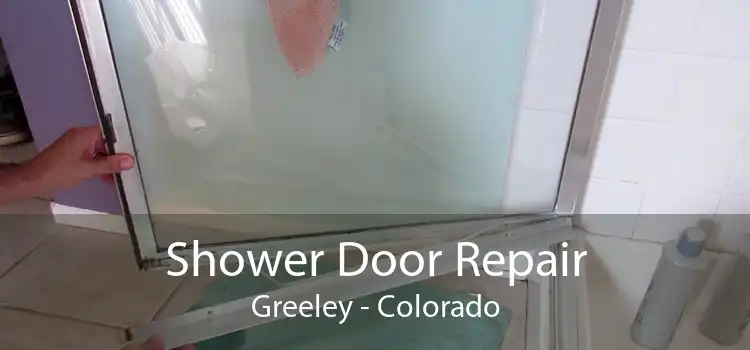 Shower Door Repair Greeley - Colorado