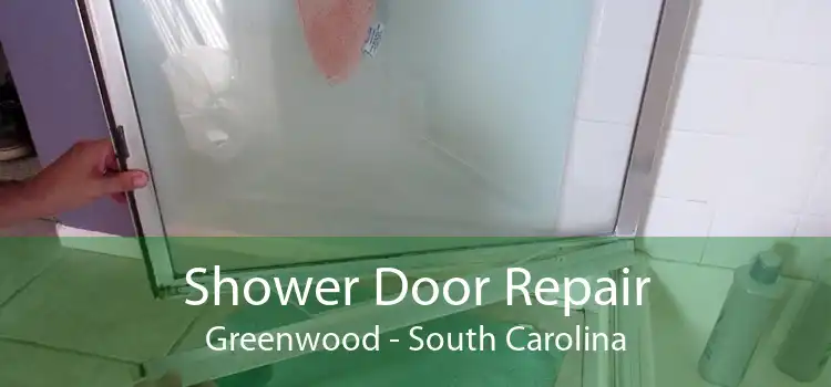 Shower Door Repair Greenwood - South Carolina