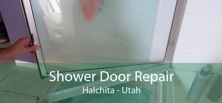 Shower Door Repair Halchita - Utah