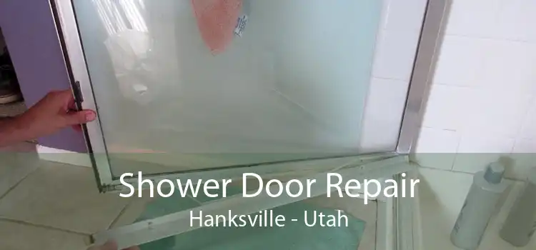 Shower Door Repair Hanksville - Utah