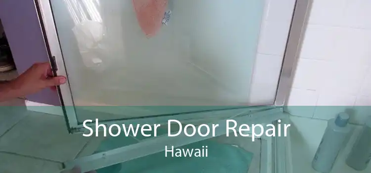 Shower Door Repair Hawaii