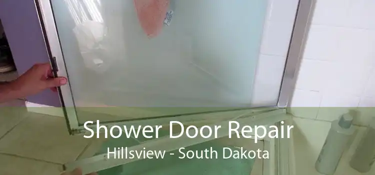 Shower Door Repair Hillsview - South Dakota