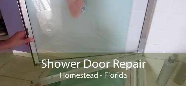 Shower Door Repair Homestead - Florida
