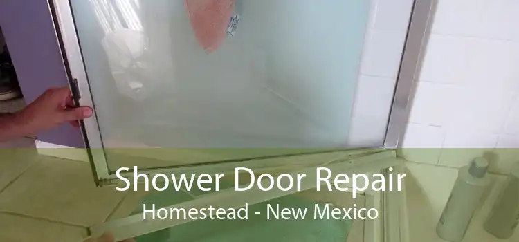 Shower Door Repair Homestead - New Mexico