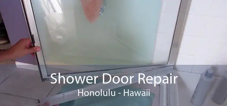 Shower Door Repair Honolulu - Hawaii