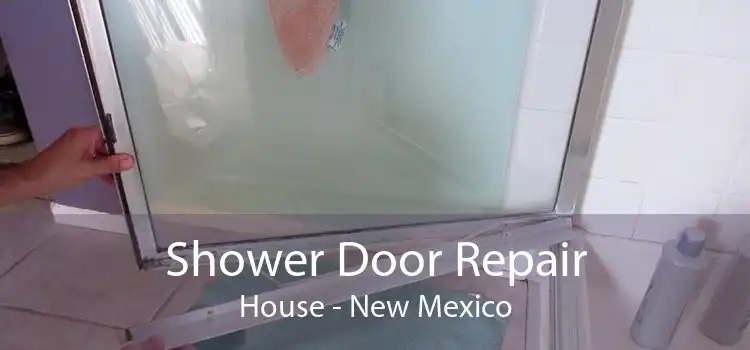 Shower Door Repair House - New Mexico