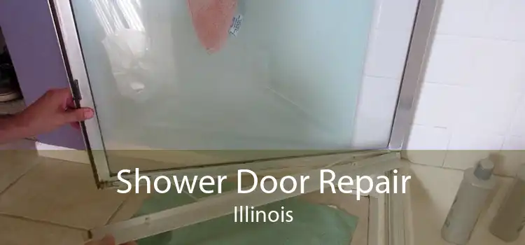 Shower Door Repair Illinois