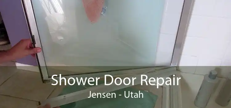 Shower Door Repair Jensen - Utah