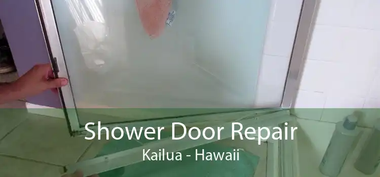 Shower Door Repair Kailua - Hawaii