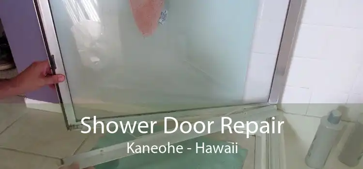Shower Door Repair Kaneohe - Hawaii