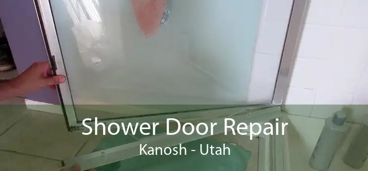 Shower Door Repair Kanosh - Utah