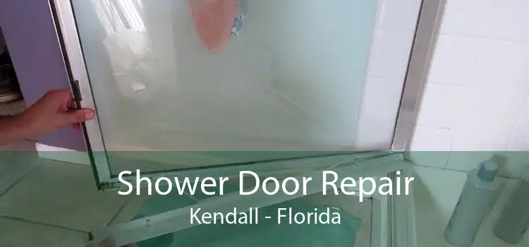 Shower Door Repair Kendall - Florida
