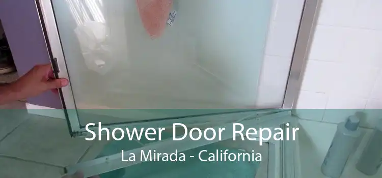 Shower Door Repair La Mirada - California