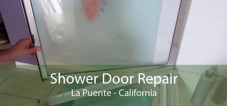 Shower Door Repair La Puente - California