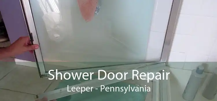 Shower Door Repair Leeper - Pennsylvania