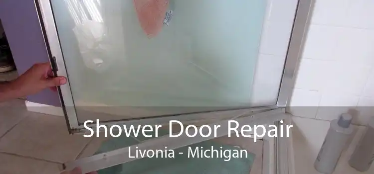 Shower Door Repair Livonia - Michigan