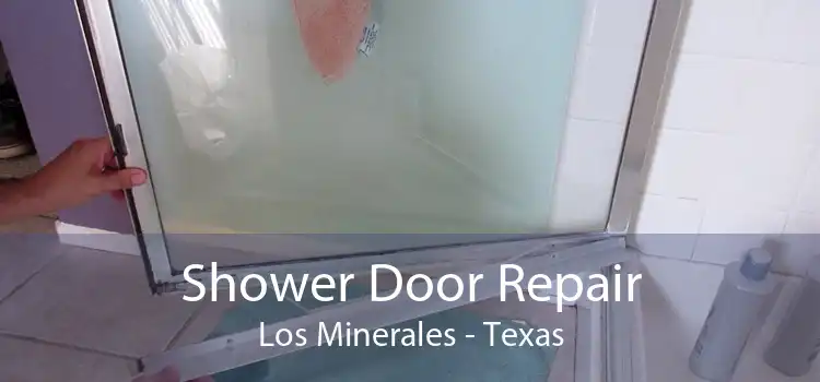 Shower Door Repair Los Minerales - Texas
