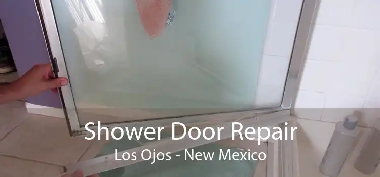 Shower Door Repair Los Ojos - New Mexico