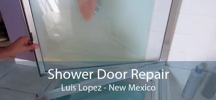 Shower Door Repair Luis Lopez - New Mexico