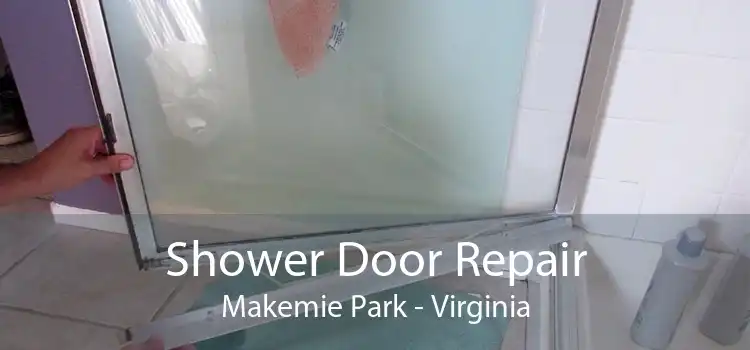 Shower Door Repair Makemie Park - Virginia