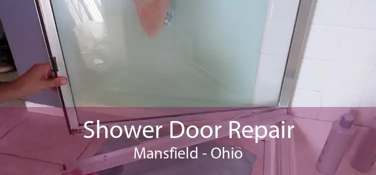 Shower Door Repair Mansfield - Ohio