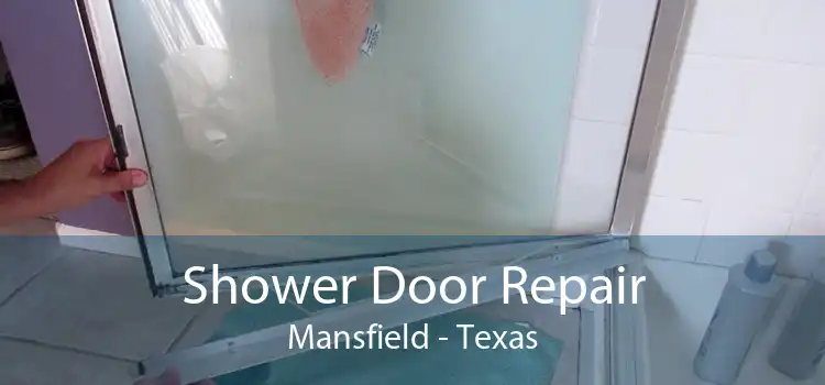 Shower Door Repair Mansfield - Texas