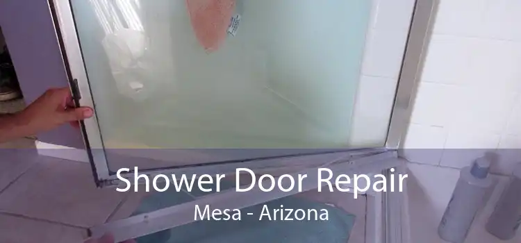 Shower Door Repair Mesa - Arizona