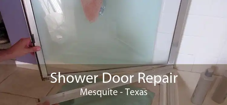 Shower Door Repair Mesquite - Texas