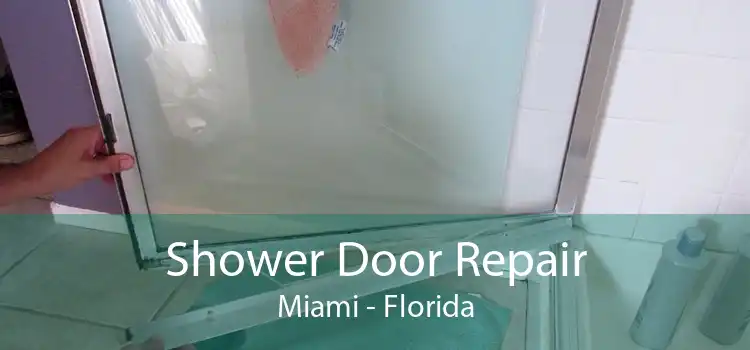 Shower Door Repair Miami - Florida