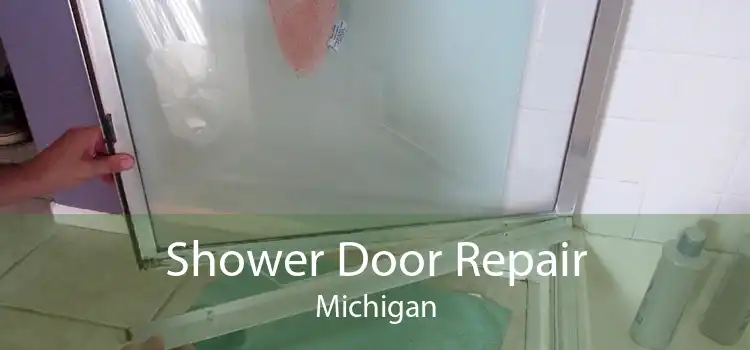 Shower Door Repair Michigan