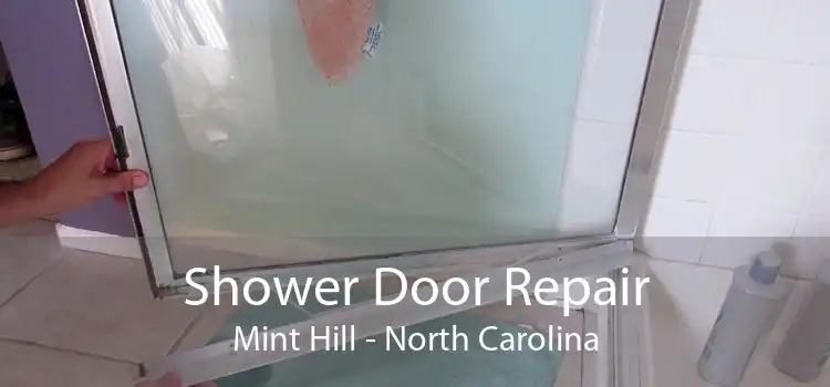 Shower Door Repair Mint Hill - North Carolina