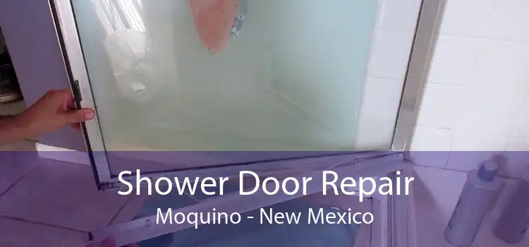 Shower Door Repair Moquino - New Mexico