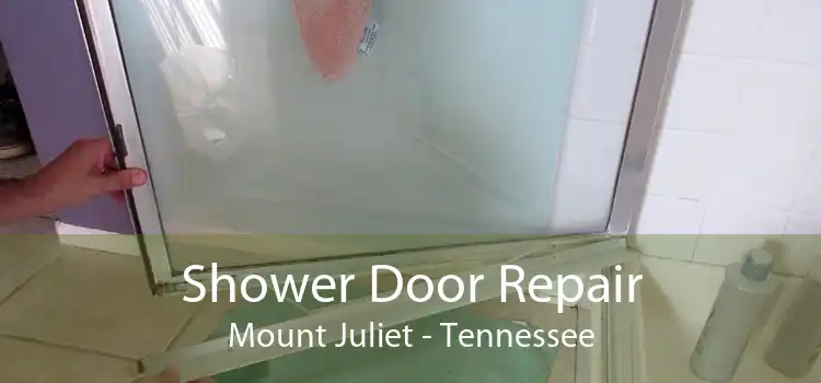 Shower Door Repair Mount Juliet - Tennessee