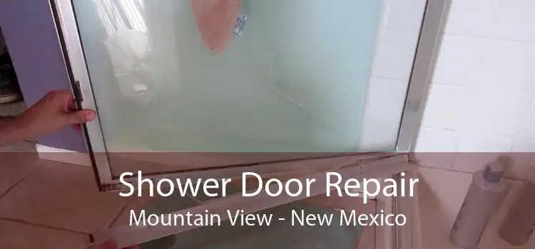 Shower Door Repair Mountain View - New Mexico