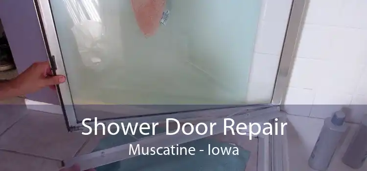 Shower Door Repair Muscatine - Iowa