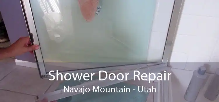 Shower Door Repair Navajo Mountain - Utah