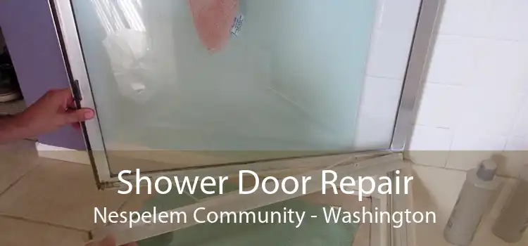Shower Door Repair Nespelem Community - Washington