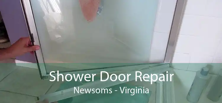 Shower Door Repair Newsoms - Virginia