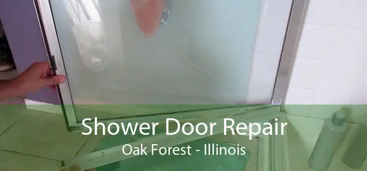 Shower Door Repair Oak Forest - Illinois
